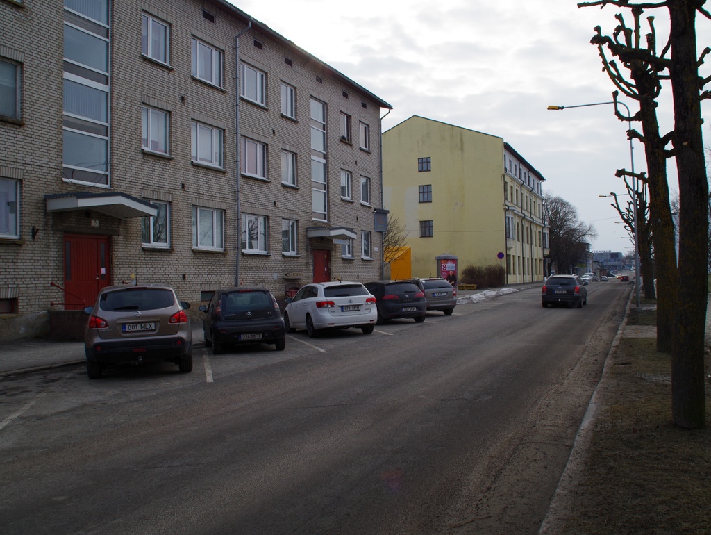 Rakvere, skautide rivi Laial tänaval rephoto