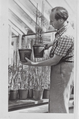 Eesti Maaviljeluse ja Maaparanduse Teadusliku Uurimise Instituudi mullandusosakonna vanem teaduslik töötaja Heino Kärblane uurib mitmesuguste muldade fosforiomastatavust.  duplicate photo