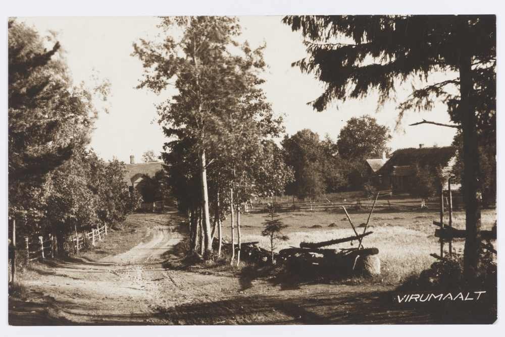 Vaade Virumaa külale. Mummasaare