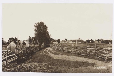 Küla vaade Laiusel.  duplicate photo