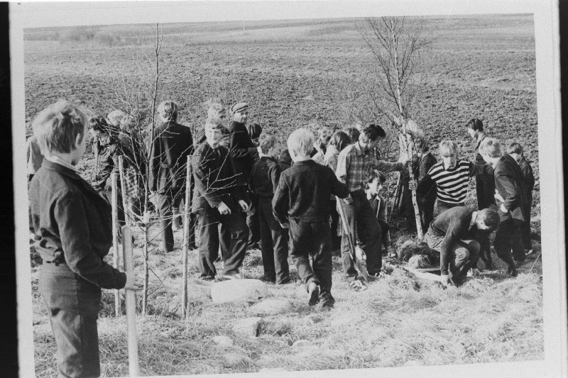 Vägeva eriinternaatkooli õpilased kooli ümbrusse puid istutamas.