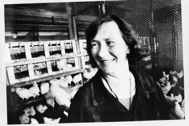 Sakala tõulinnukasvatuse kanatalitaja Eevi Mogom.