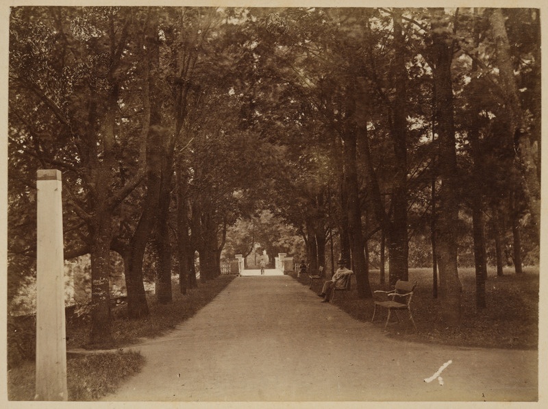 Inglisillale viiv allee Toomemäel