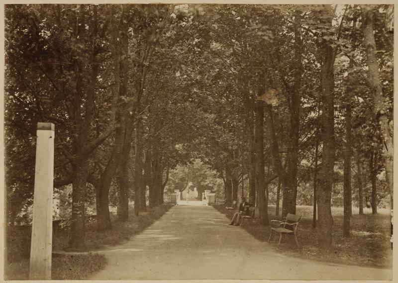 Inglisillale viiv allee Toomemäel