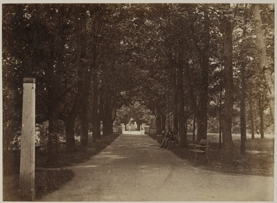 Inglisillale viiv allee Toomemäel  duplicate photo