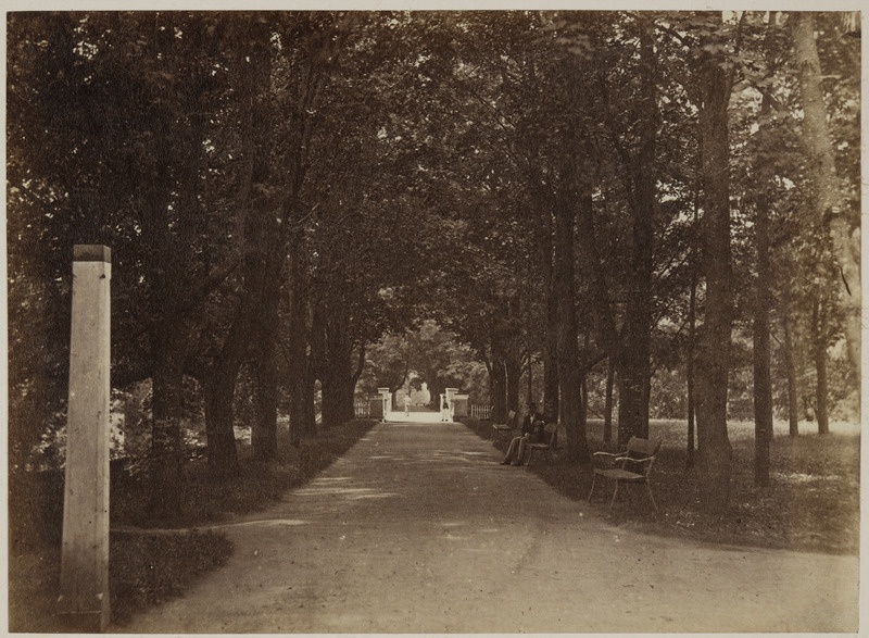 Inglisillale viiv allee Toomemäel