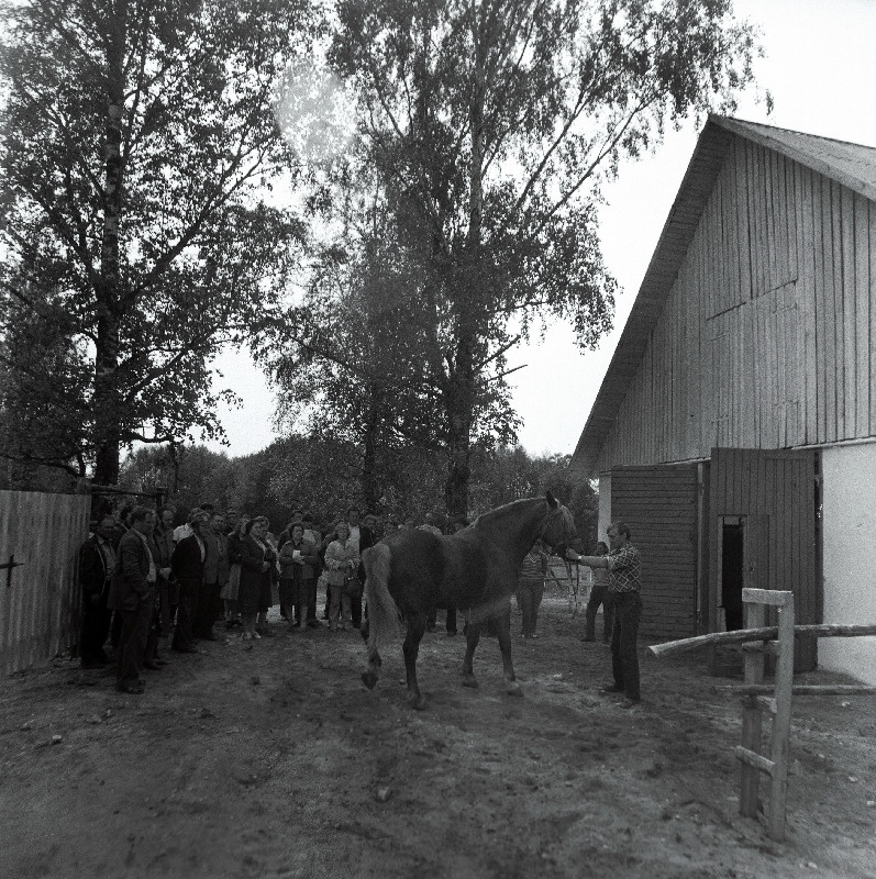 Hobusekasvatajate päev "Rahva Hääle" kolhoosis.