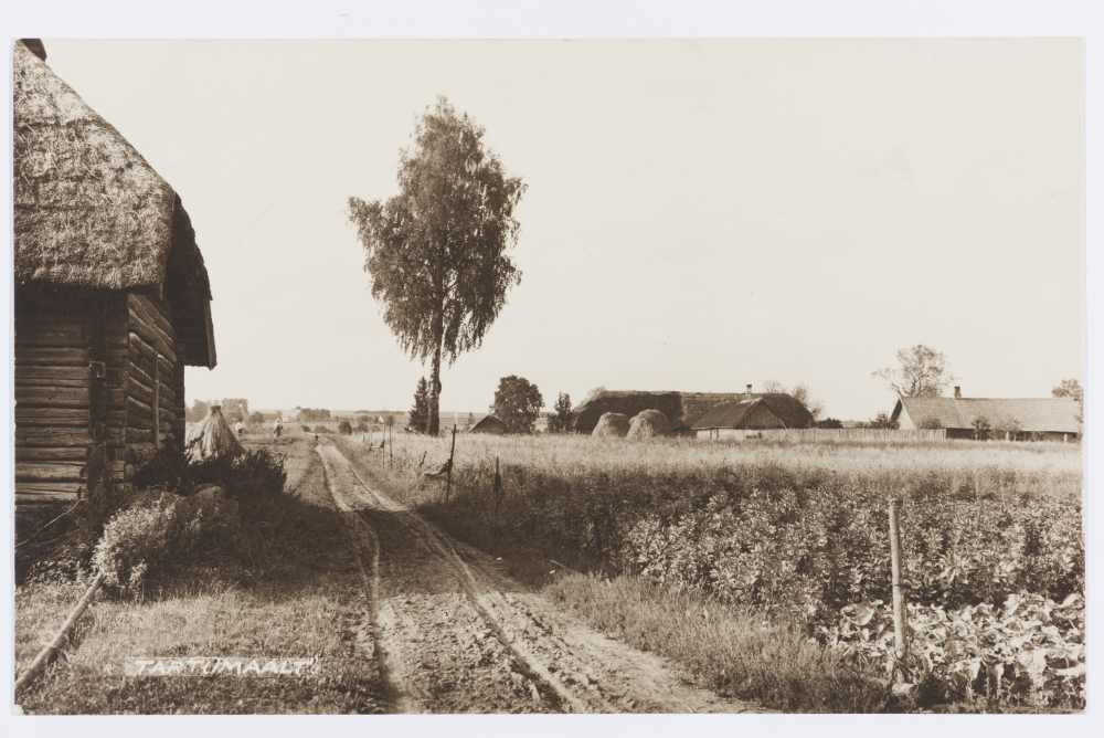 Vaade Tartumaa külale.