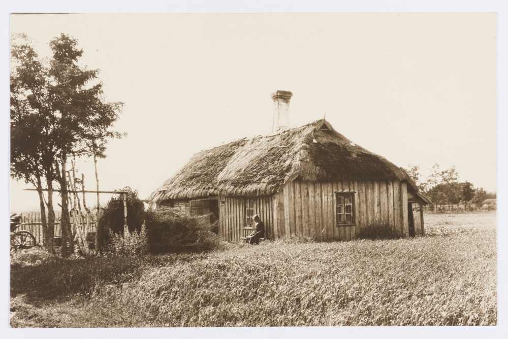 Sauniku elamu.