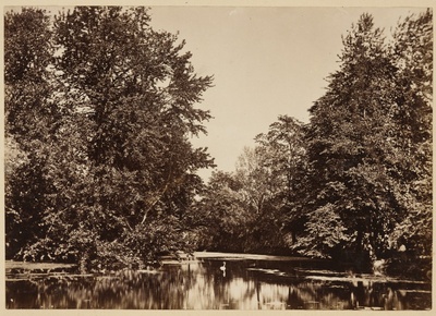 Tartu Ülikooli Botaanikaaia tiik  duplicate photo