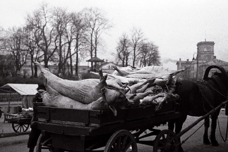Turg jõulupühade eel.