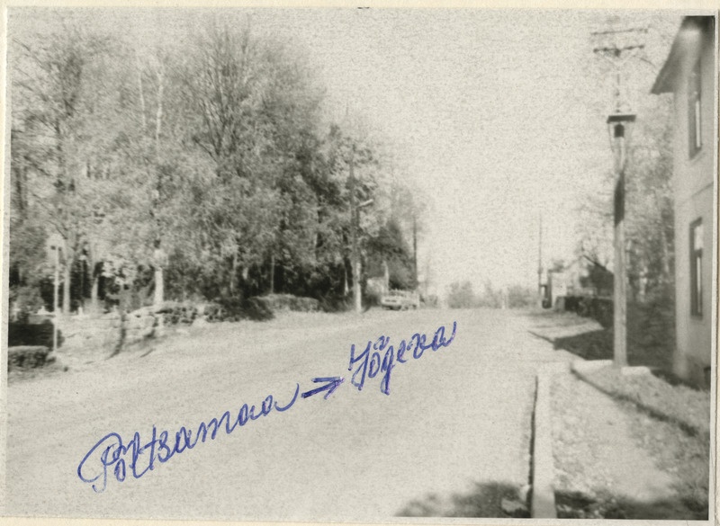 Vaade Põltsamaa kalmistule Põltsamaa-Jõgeva maantee pealt