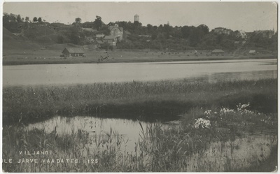 Vaade üle järve Viljandi linnale  duplicate photo