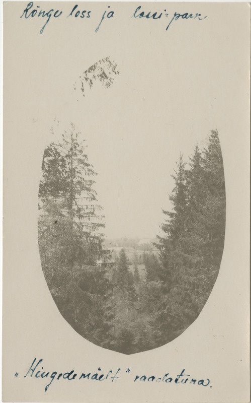 Rõngu loss ja lossipark "Hingedemäelt" vaadatuna, ovaalne foto