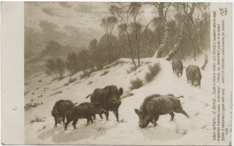 G. Rotig. Winter Abend (Wildscheine im Schnee), fotokoopia maalist