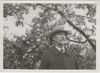 Jaan Tõnisson õunapuu all.  duplicate photo