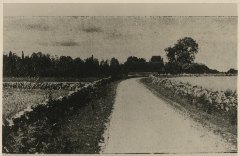 Põldudevaheline tee Põhja-Eestis. Koopia fotost