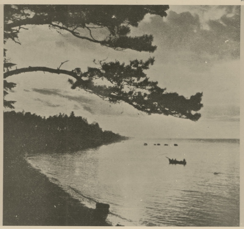 Läänemere rannik. Koopia fotost