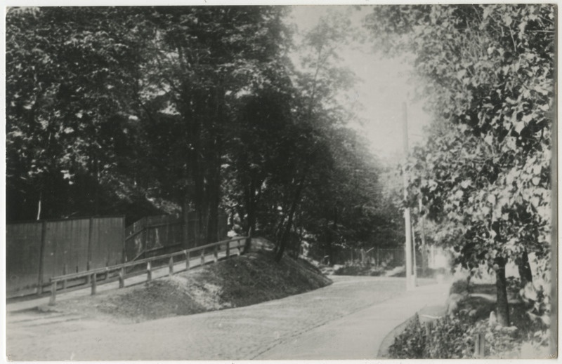 Vallikraavi tänav suvel. Koopia fotost