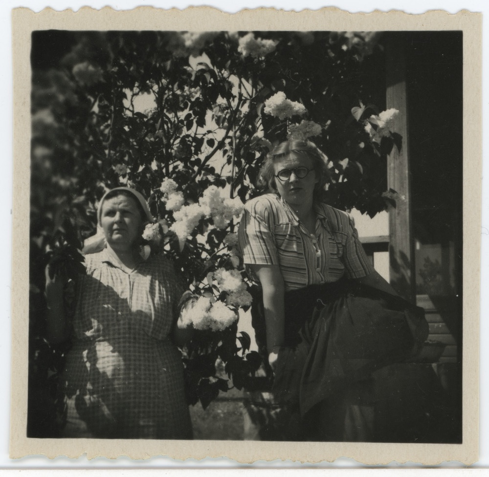 Tuvastamata naisterahvad sirelipõõsa varjus