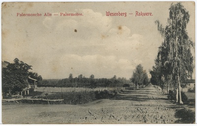 Vaade Palermo alleele Rakveres, fotopostkaart  duplicate photo