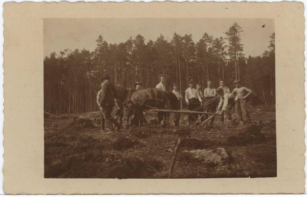 Mehed hobusega metsatöödel