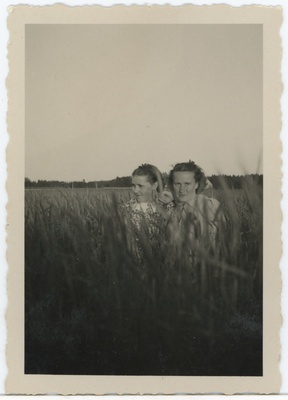 Kaks noort naist viljapõllul  duplicate photo