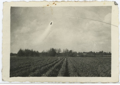 Vaade Nurme puukoolile 1950.ndatel aastatel  duplicate photo