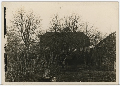 Taluhoone raagus puude taga  duplicate photo