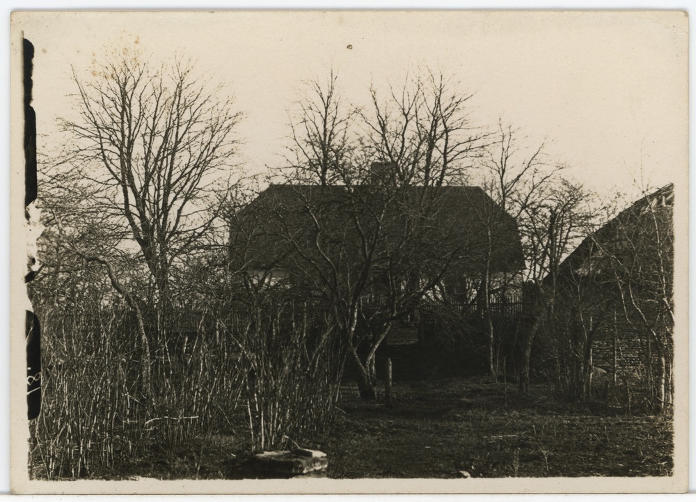 Taluhoone raagus puude taga