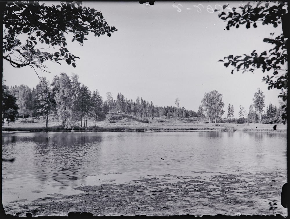 Tammiku järv. Salla vald.