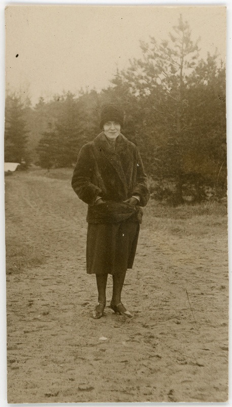 Emilie Vares seismas, taustal mets