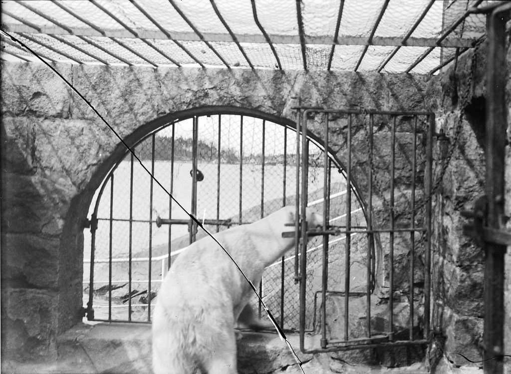 Helsinki Zoo