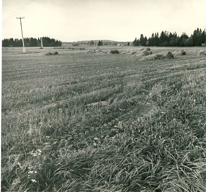 Ebavere mägi