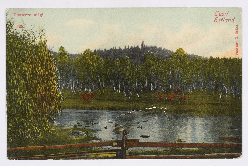 Ebavere mägi, Eesti