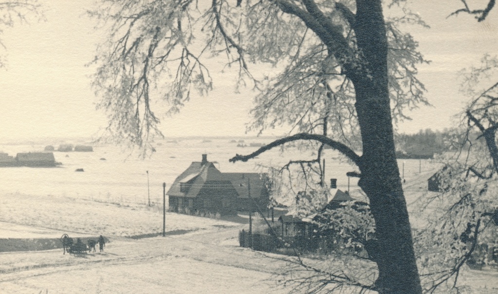 Rakvere vaade