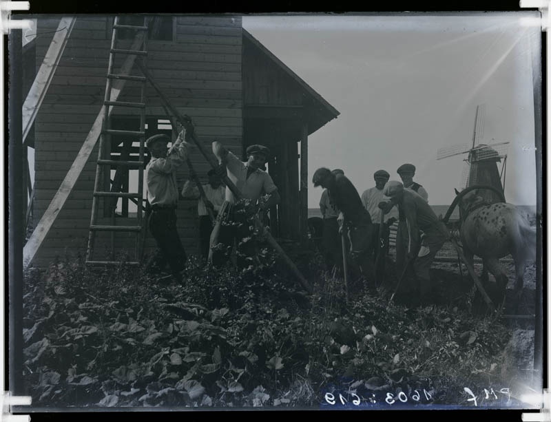 klaasnegatiiv, Lõõla algkooli puukuuri ehitamise talgud 1935.a.