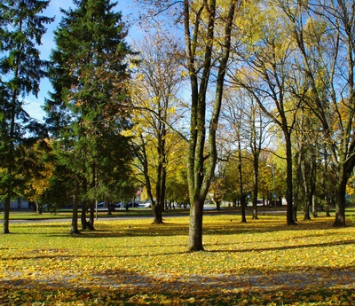 Rakvere, vaade Koidula ja Kastani tänava pargist rephoto