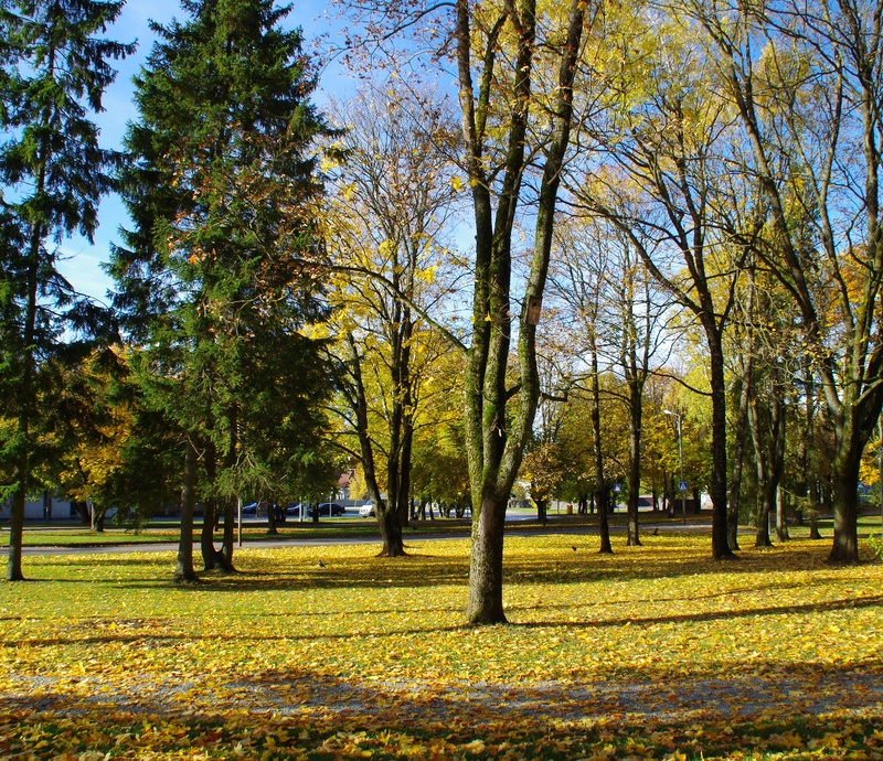 Rakvere, vaade Koidula ja Kastani tänava pargist rephoto