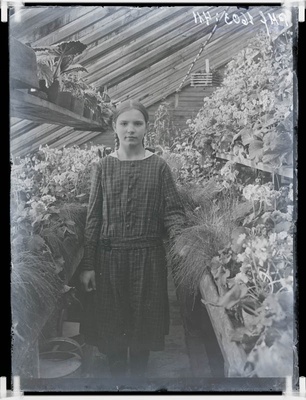 klaasnegatiiv, tüdruk kasvuhoones, Lõõla 1920-ndad a.  similar photo