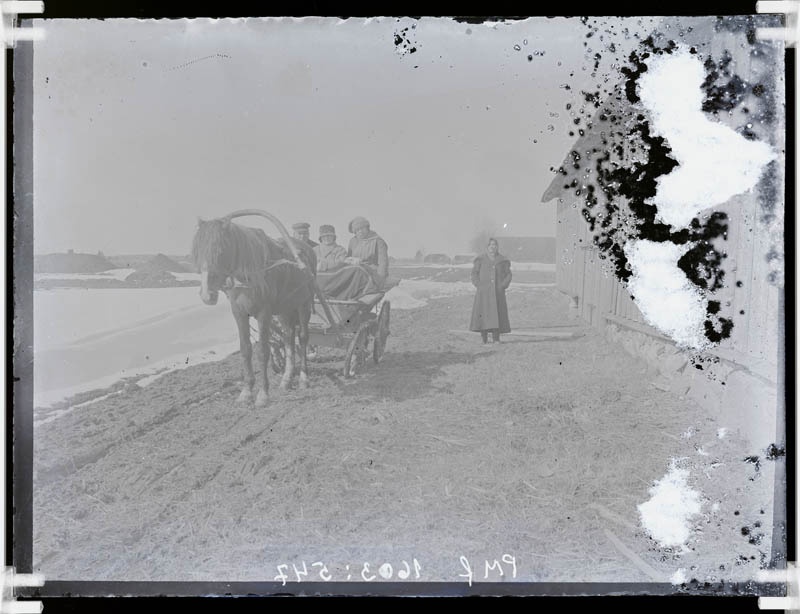 klaasnegatiiv, hobune vankriga teel, Lõõla 1920-30-ndad a.