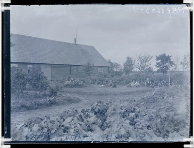 klaasnegatiiv, Kuuramatsi aias 1931.a.  duplicate photo