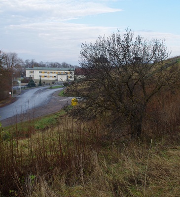 Rakvere, vaade Vallimäelt rephoto