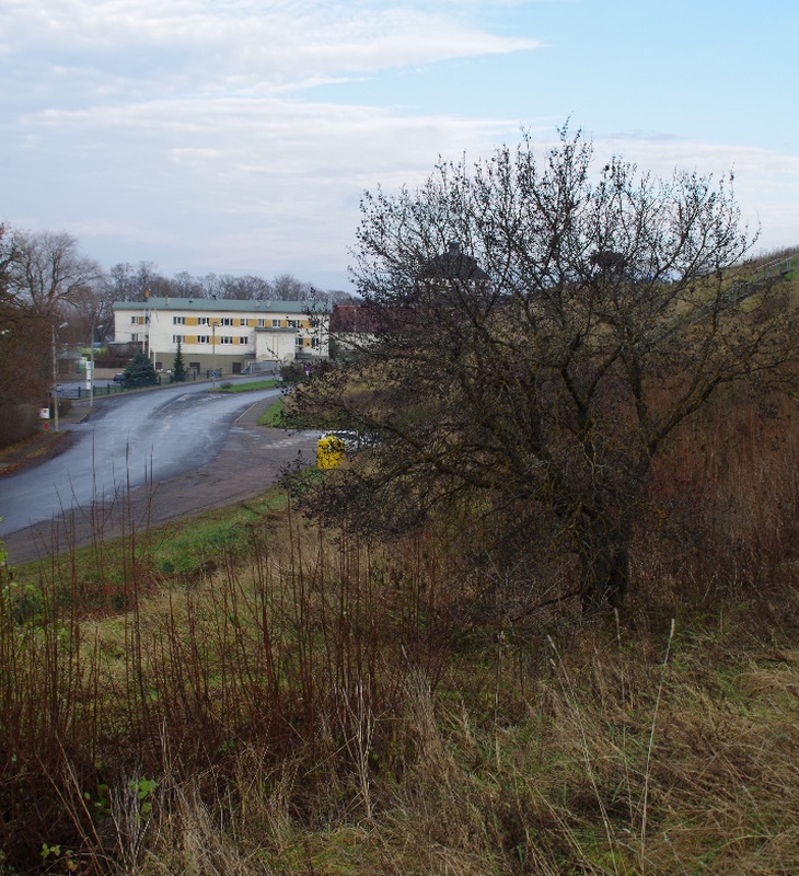 Rakvere, vaade Vallimäelt rephoto