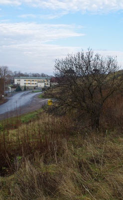 Rakvere, Vallikraavi t rephoto