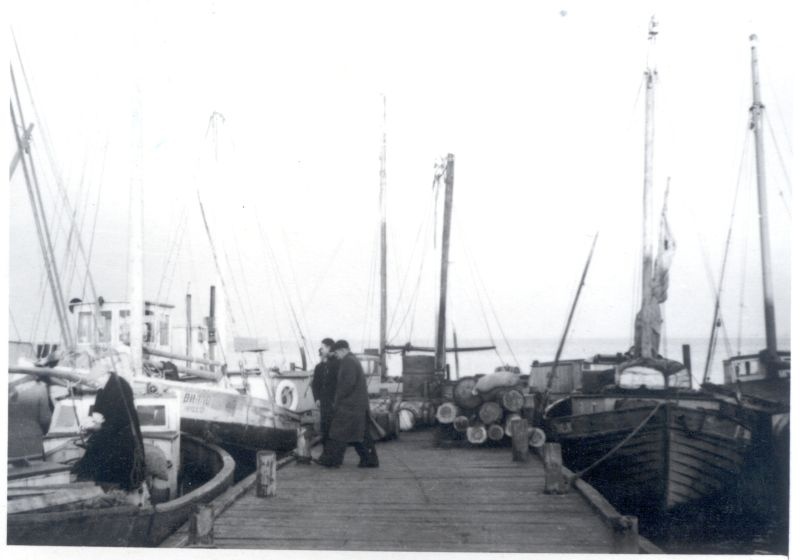 Foto. Haapsalu kalakombinaadi sadam, mai 1949.
