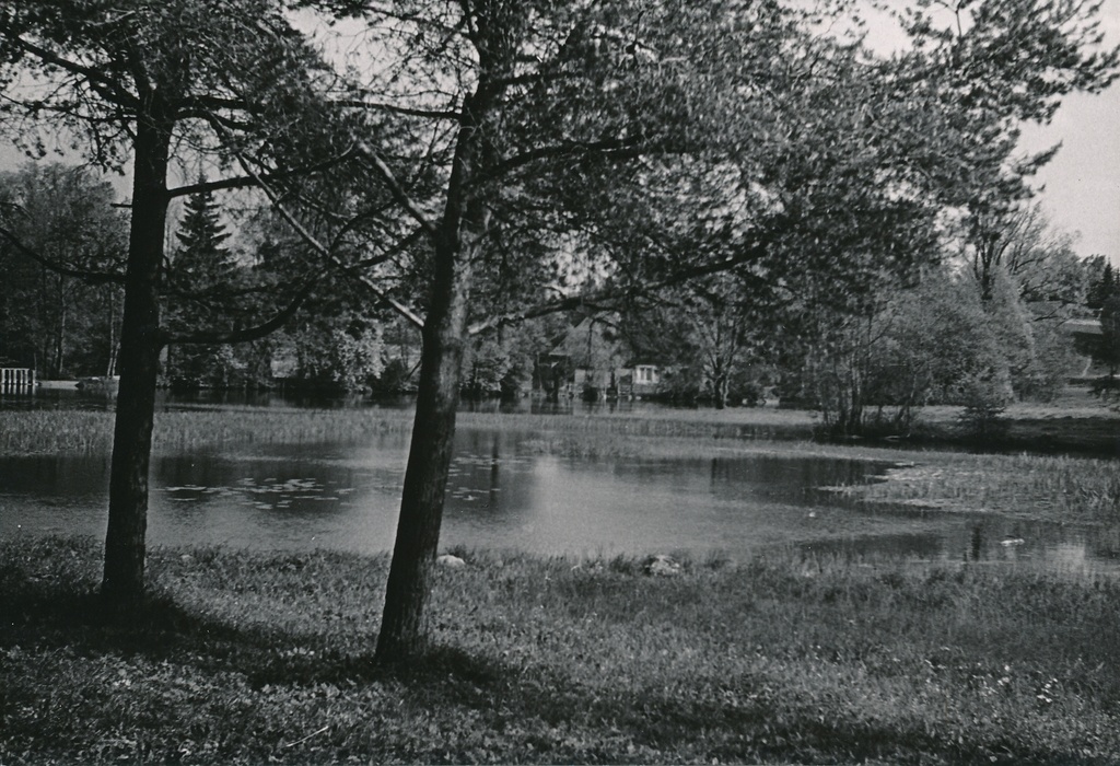 foto, Viljandi, Valuoja tiik, 1960, foto A. Kiisla