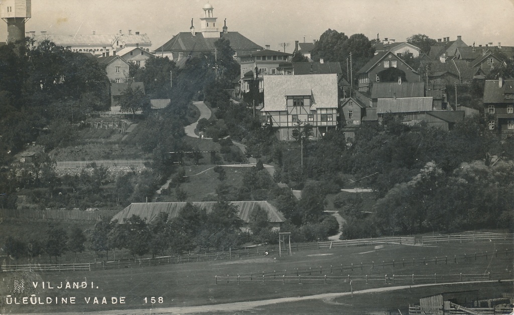 foto, Viljandi, Trepimägi, u 1920, foto J. Riet