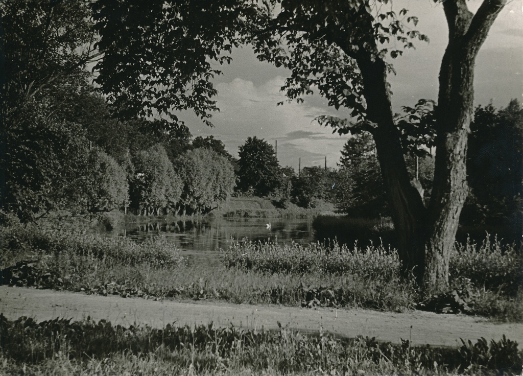 foto, Viljandi, Valuoja tiik, 1960, foto A. Kiisla