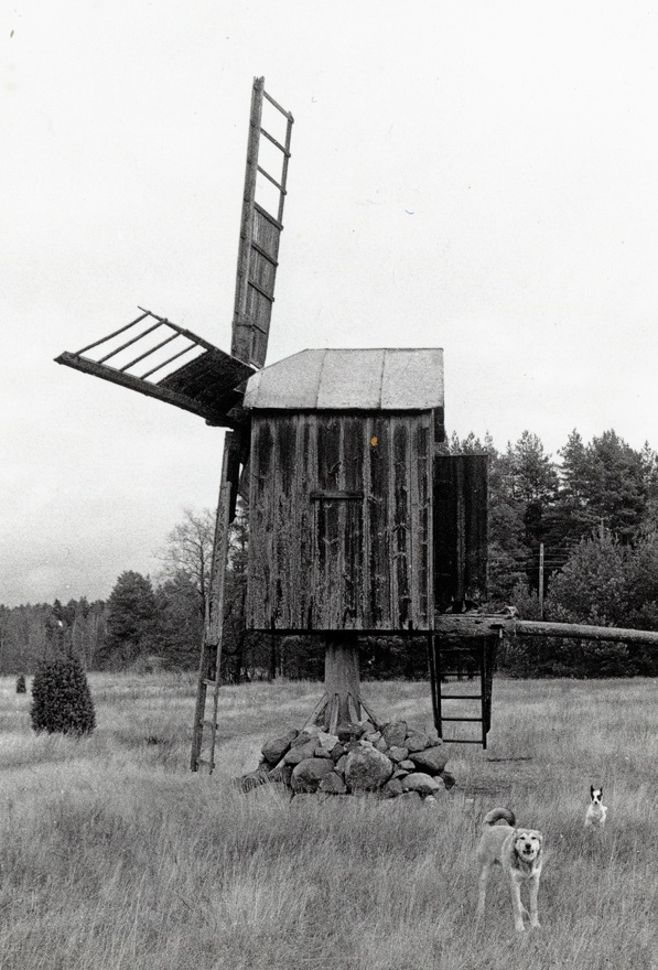 Õngu pukktuulik, vaade